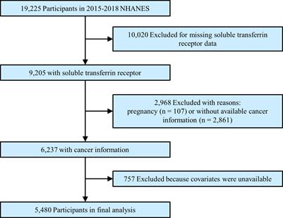 Associations between serum soluble transferrin receptor and the prevalence of cancers